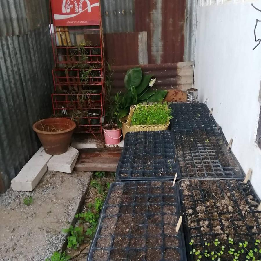 Chill Pill Hostel Chiang Khan Exterior foto